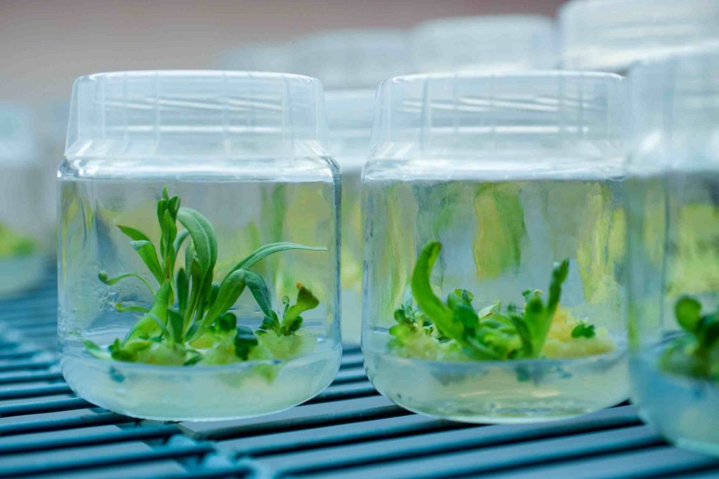 آموزشگاه نهال ناک